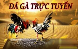 Đá gà trực tuyến tại cổng game Uk88